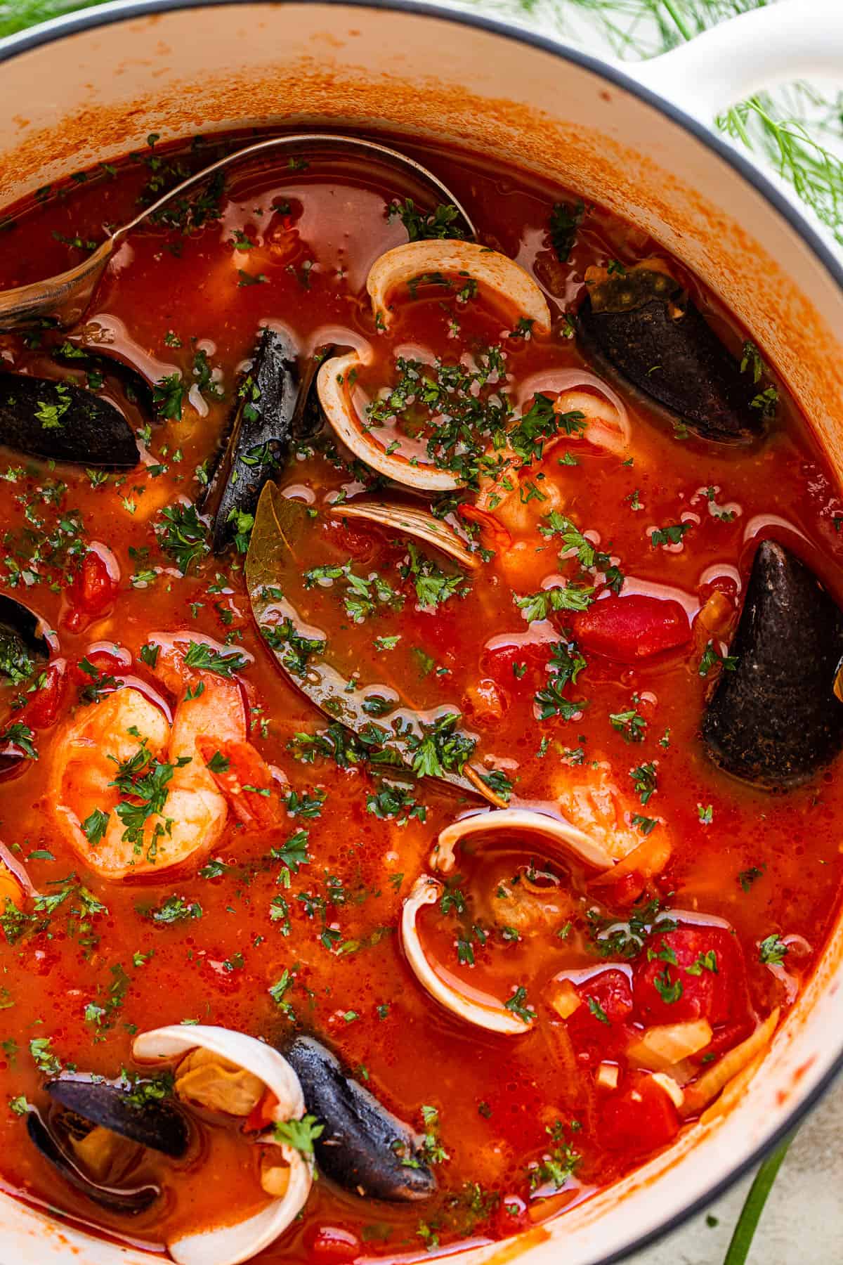 A World-Class Fisherman's Stew: Eva Longoria's Culinary Experience A World-Class Fisherman's Stew: Eva Longoria's Culinary Experience