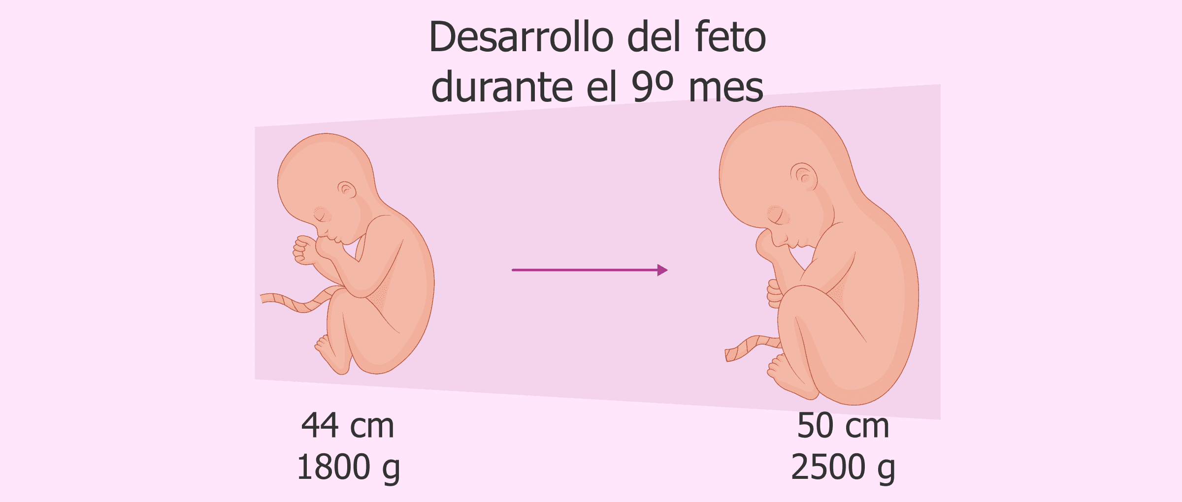 Bencic: Una Madre Campeona A Los Nueve Meses Bencic: Una Madre Campeona A Los Nueve Meses