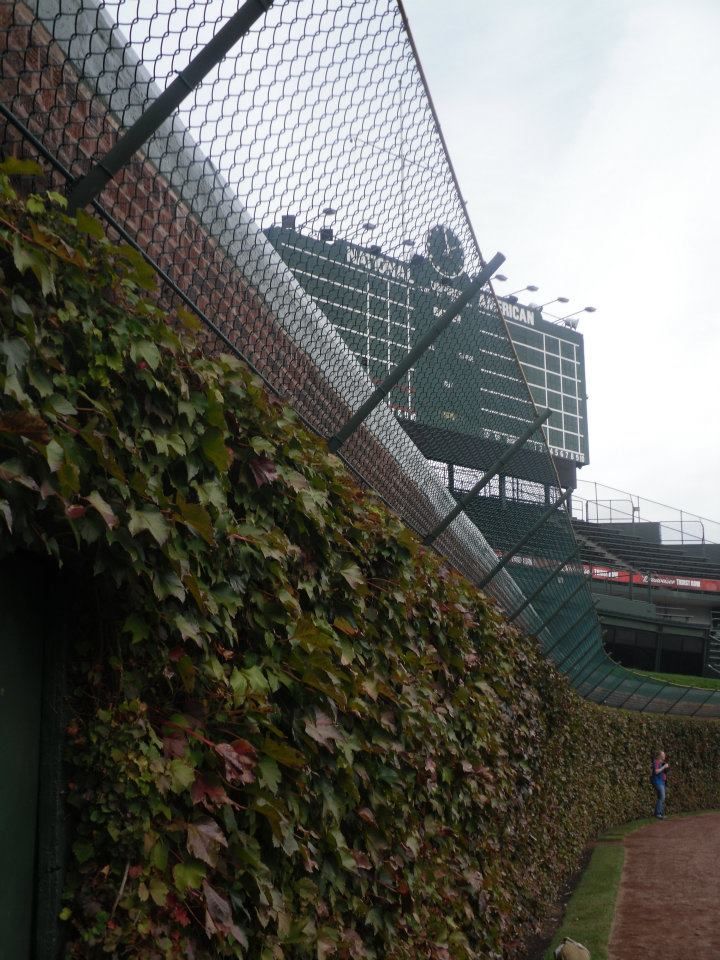 Brewers 9, Cubs 7: A Windy Wrigley Field Battle Brewers 9, Cubs 7: A Windy Wrigley Field Battle