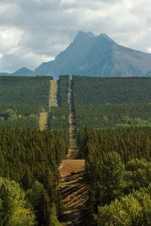Canada-U.S. Border: White House Reports Significant Reduction In Illegal Entries Canada-U.S. Border: White House Reports Significant Reduction In Illegal Entries