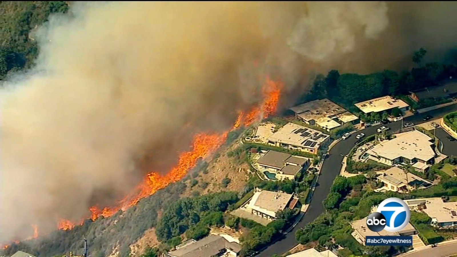 Full List: Celebrities Affected By The Palisades Fire In Los Angeles Full List: Celebrities Affected By The Palisades Fire In Los Angeles