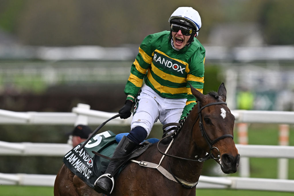 Grand National 2025: A Complete Guide To The Runners At Aintree Grand National 2025: A Complete Guide To The Runners At Aintree