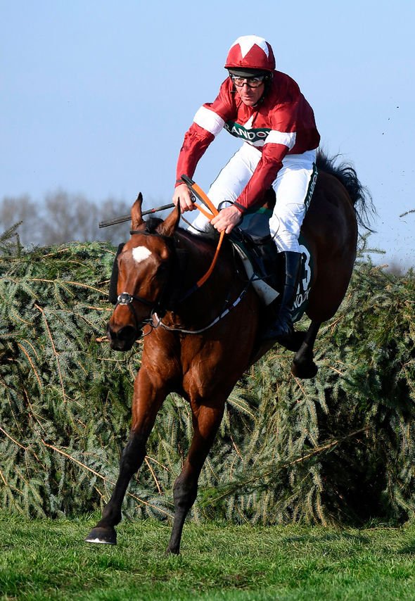 How Many Horses Have Died At The Grand National? A Pre-2025 Analysis