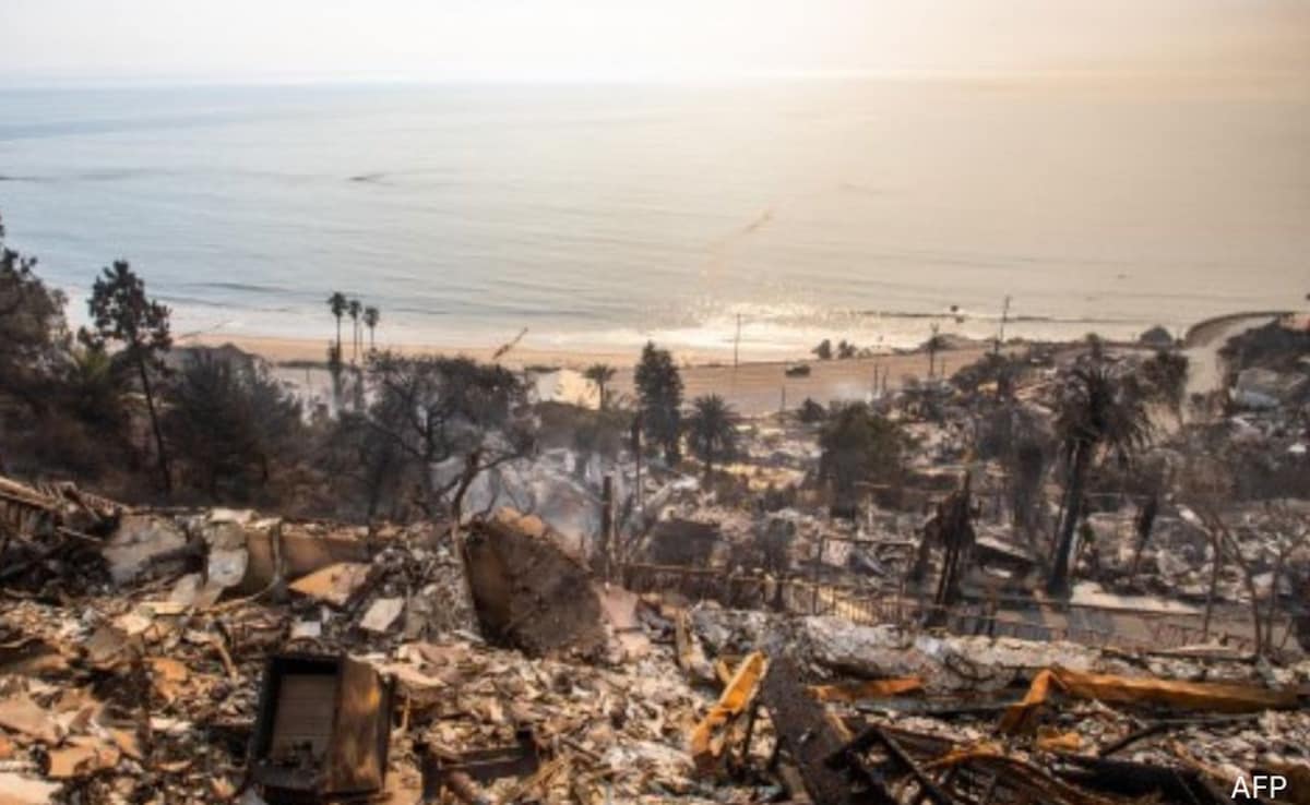 Los Angeles Wildfires: The Rise Of Disaster Betting And What It Means Los Angeles Wildfires: The Rise Of Disaster Betting And What It Means