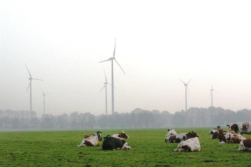 PNE Group's Wind Energy Portfolio Expansion: Two New Projects Added PNE Group's Wind Energy Portfolio Expansion: Two New Projects Added