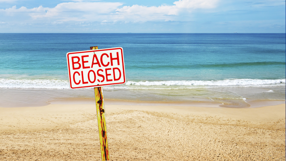 Sharks, Missing Swimmer, And A Found Body: A Troubled Israeli Beach Sharks, Missing Swimmer, And A Found Body: A Troubled Israeli Beach