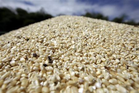 South Africa And Tanzania Discuss Lifting Of Agricultural Imports Ban South Africa And Tanzania Discuss Lifting Of Agricultural Imports Ban