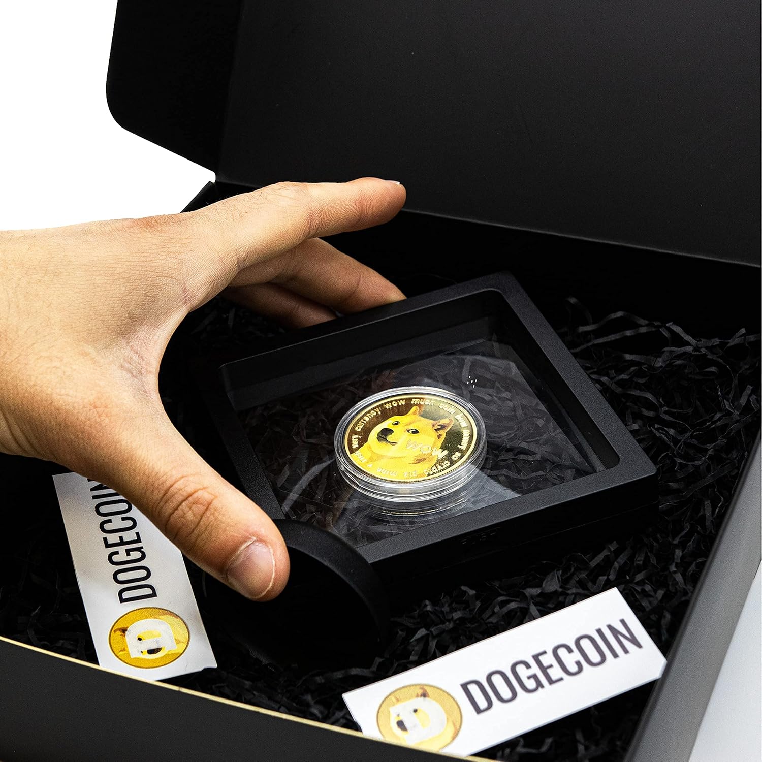 Tesla, SpaceX, And The EPA: The Dogecoin Influence Tesla, SpaceX, And The EPA: The Dogecoin Influence